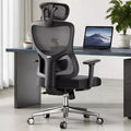 MAYEERTY Ergonomic Mesh Home Office Chair - With Headrest, Adjustable Lumbar Support & 3D Armrests (Black)